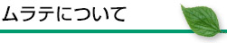 ムラテについて